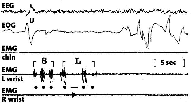Morse code (19k)